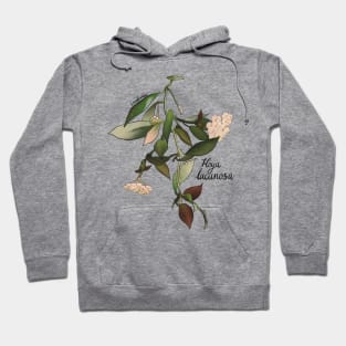 Hoya Lacunosa Hoodie